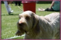 26-05-12 M JustEva_IMG_5126
